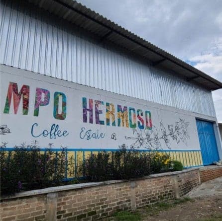 Colombia Finca Sicilia Pedro Nel Salazar Carbonic Honey Mango/Coconut Coferment