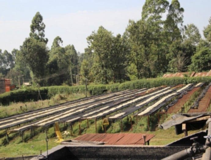 Kenya Kii AB