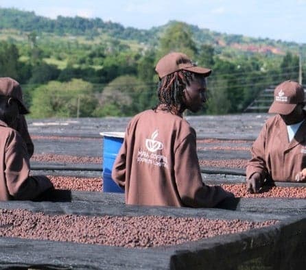 Kenya Mara Estate Anaerobic Natural