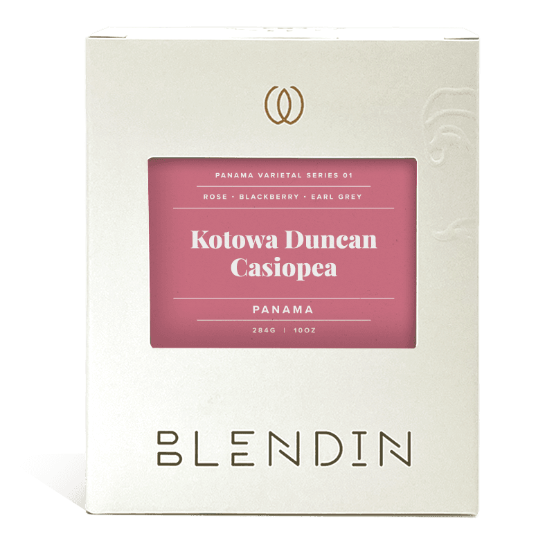 Kotowa Duncan Casiopea