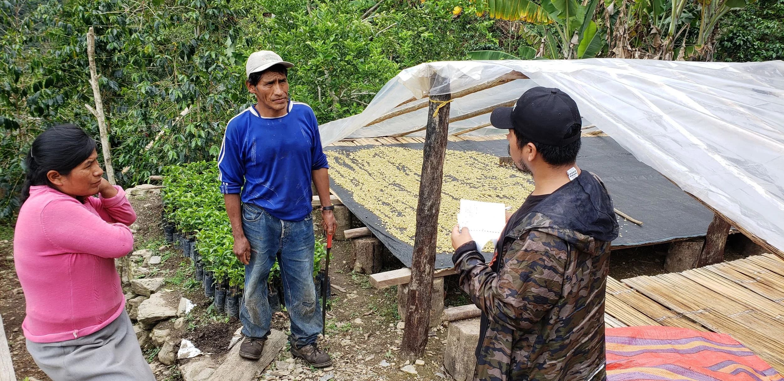 Finca Quillabamba, Peru 227g
