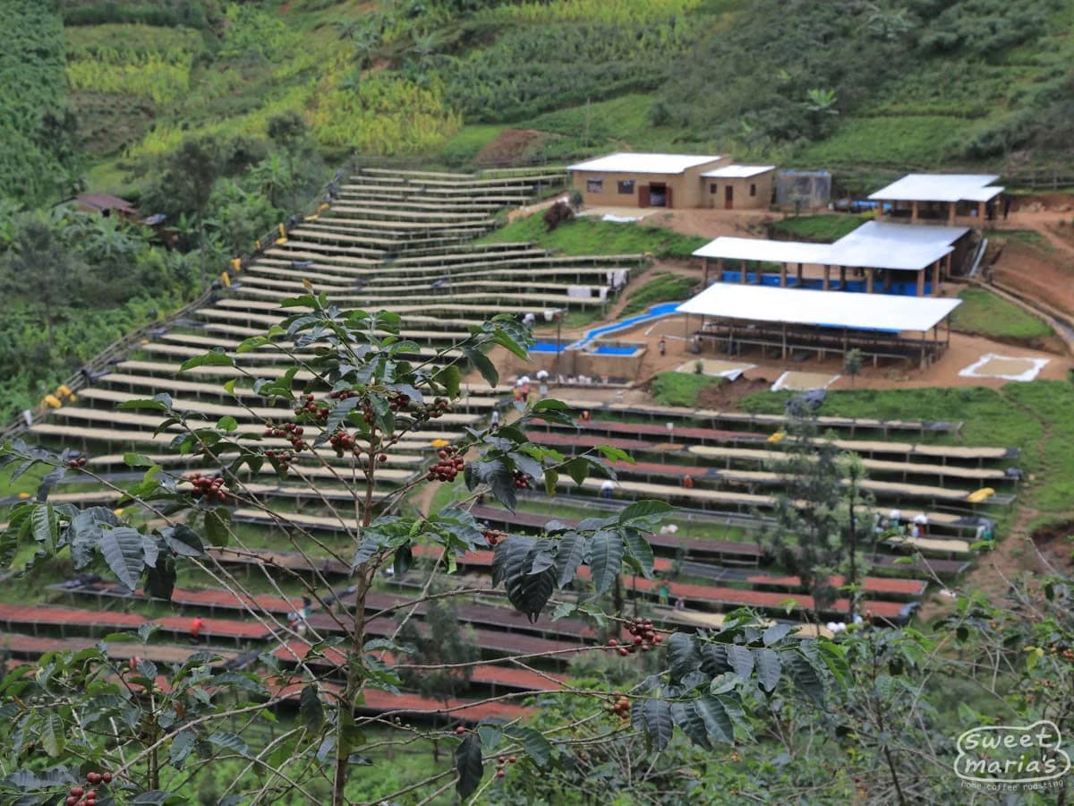 Gitwe, Rwanda 227g