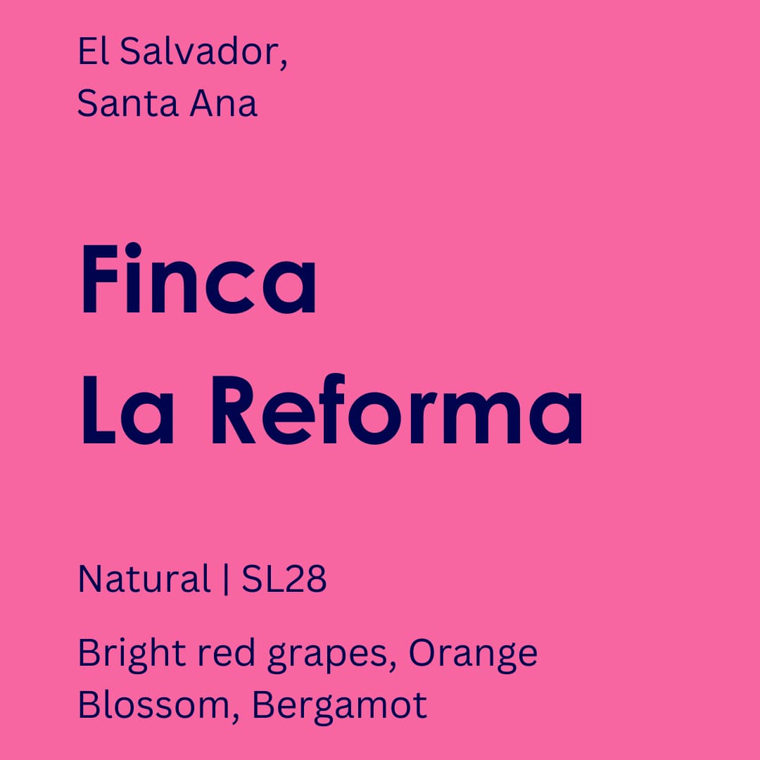 El Salvador - Finca La Reforma (Smol)