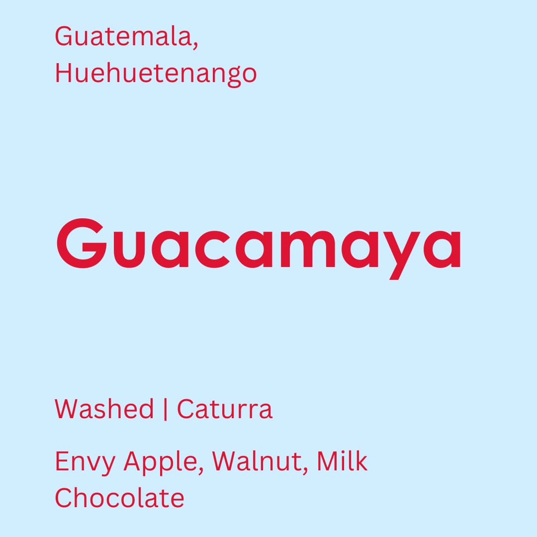 Guatemala - Guacamaya